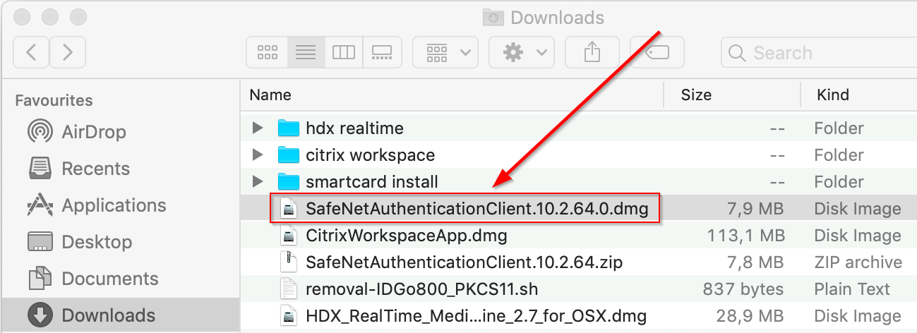 Download Citrix Workspace For Mac Catalina